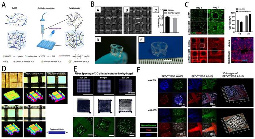 Theranostics Image