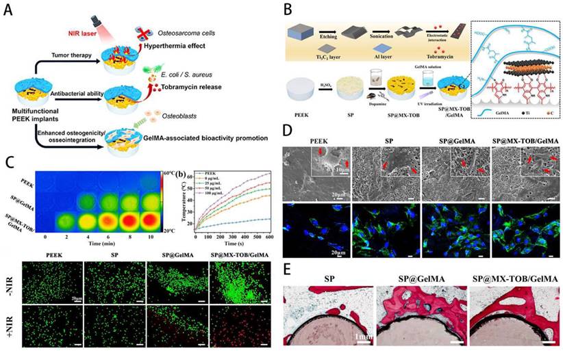 Theranostics Image