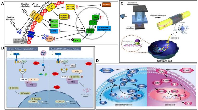 Theranostics Image