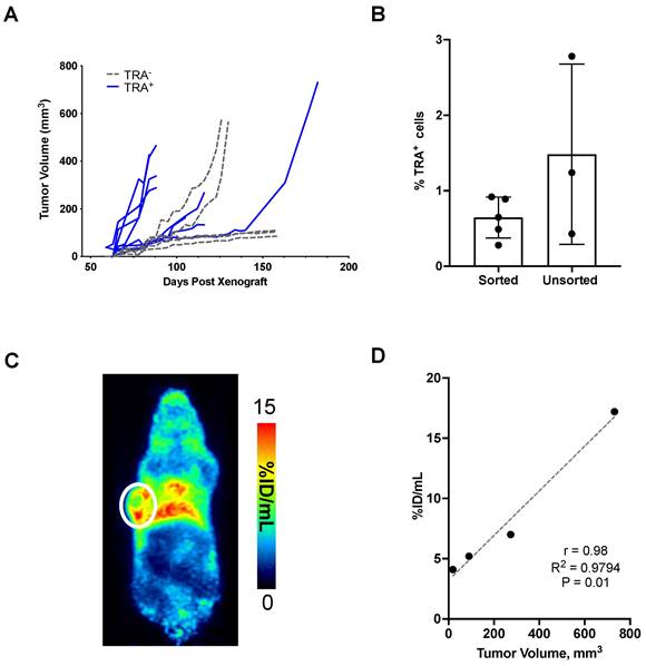 Theranostics Image