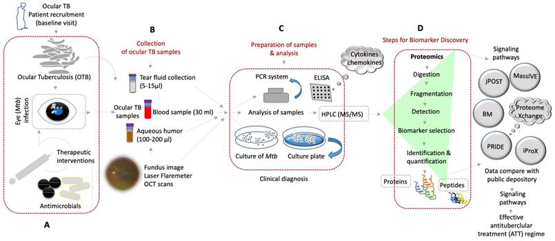 Theranostics Image