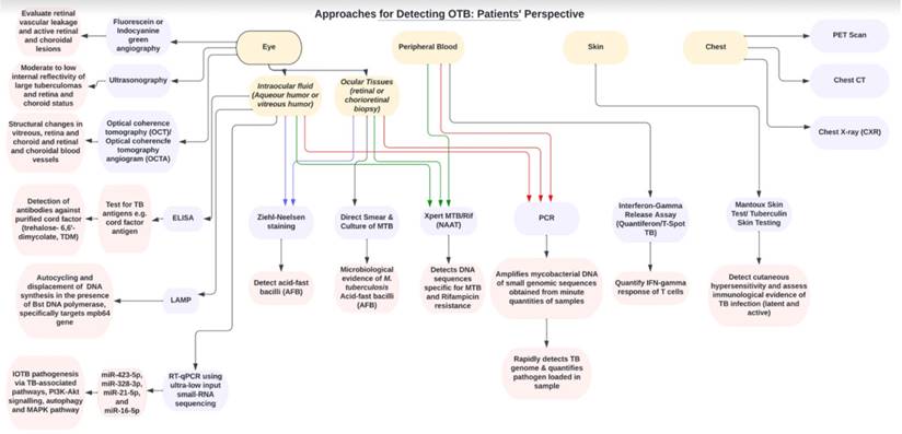 Theranostics Image