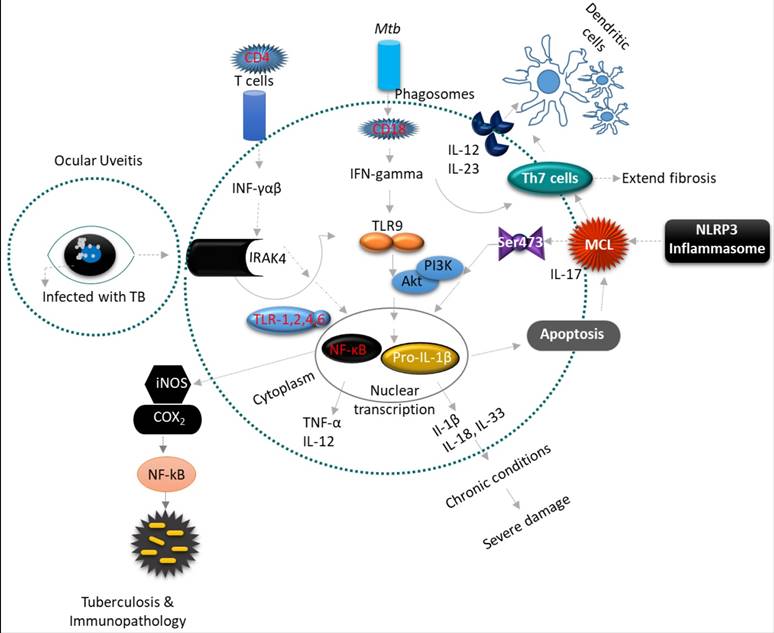 Theranostics Image