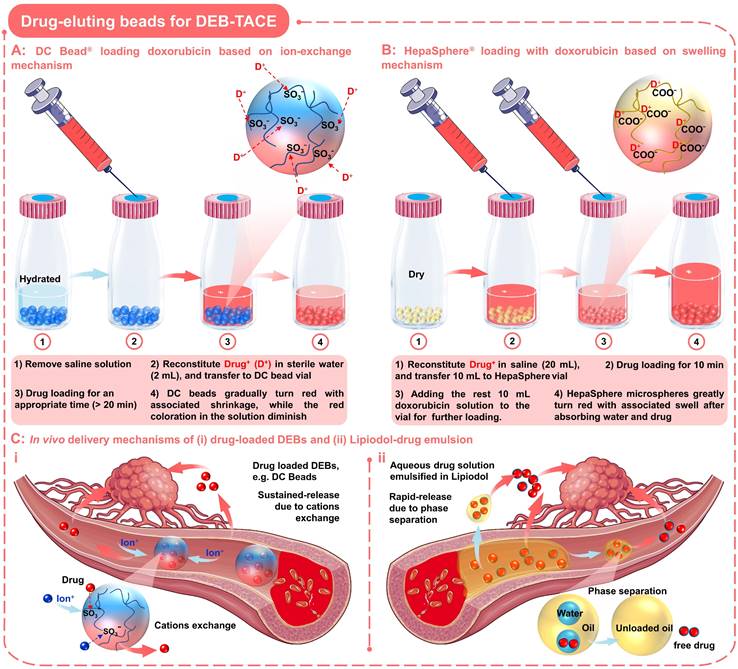 Theranostics Image