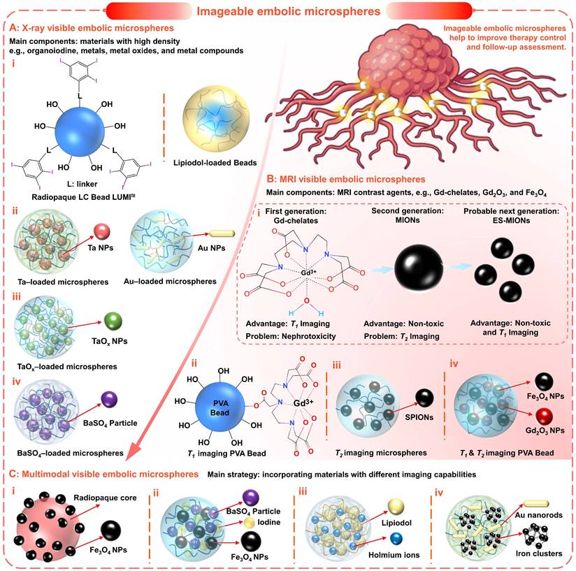 Theranostics Image