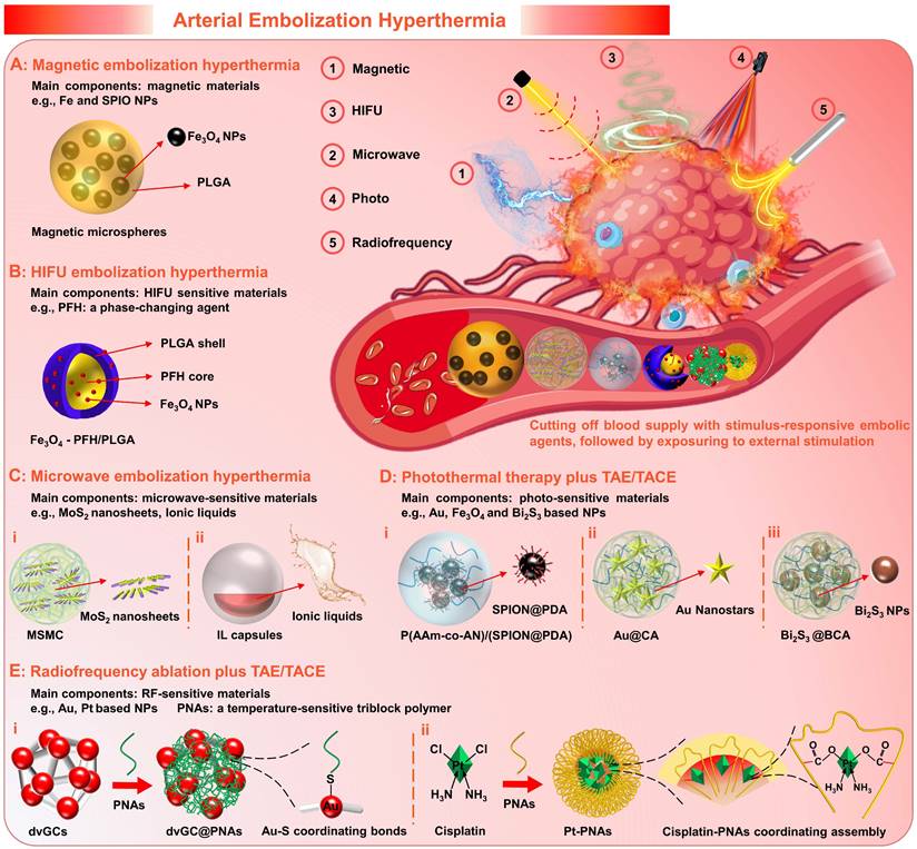 Theranostics Image