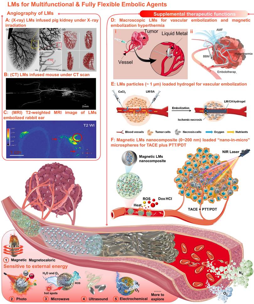 Theranostics Image