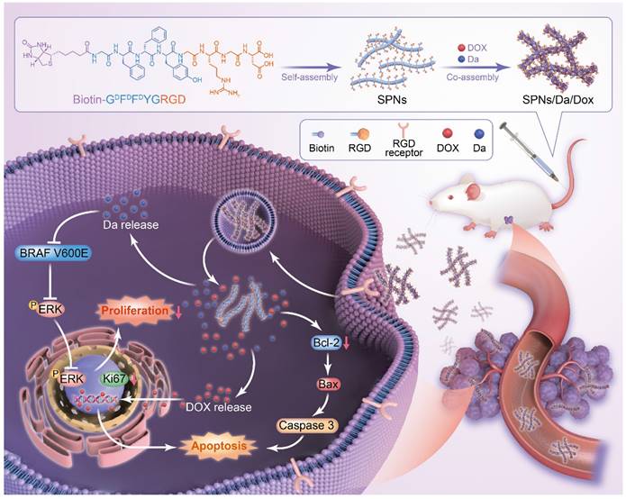 Theranostics Image