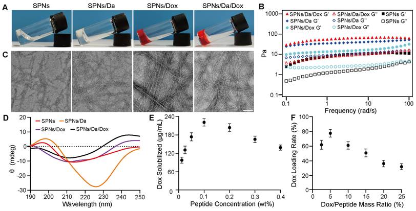 Theranostics Image