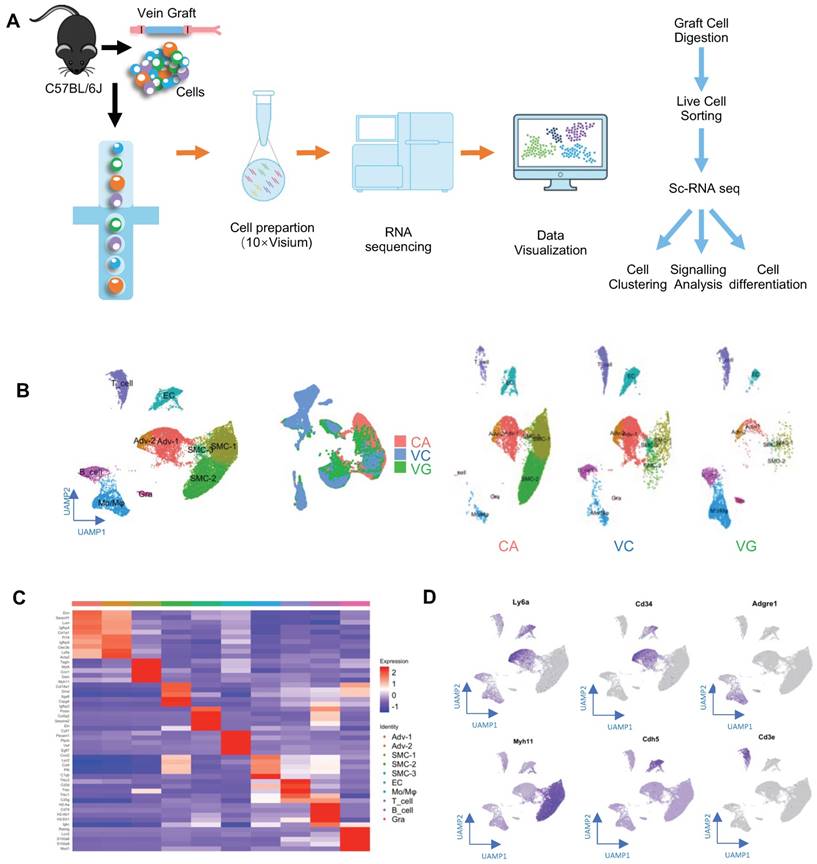 Theranostics Image