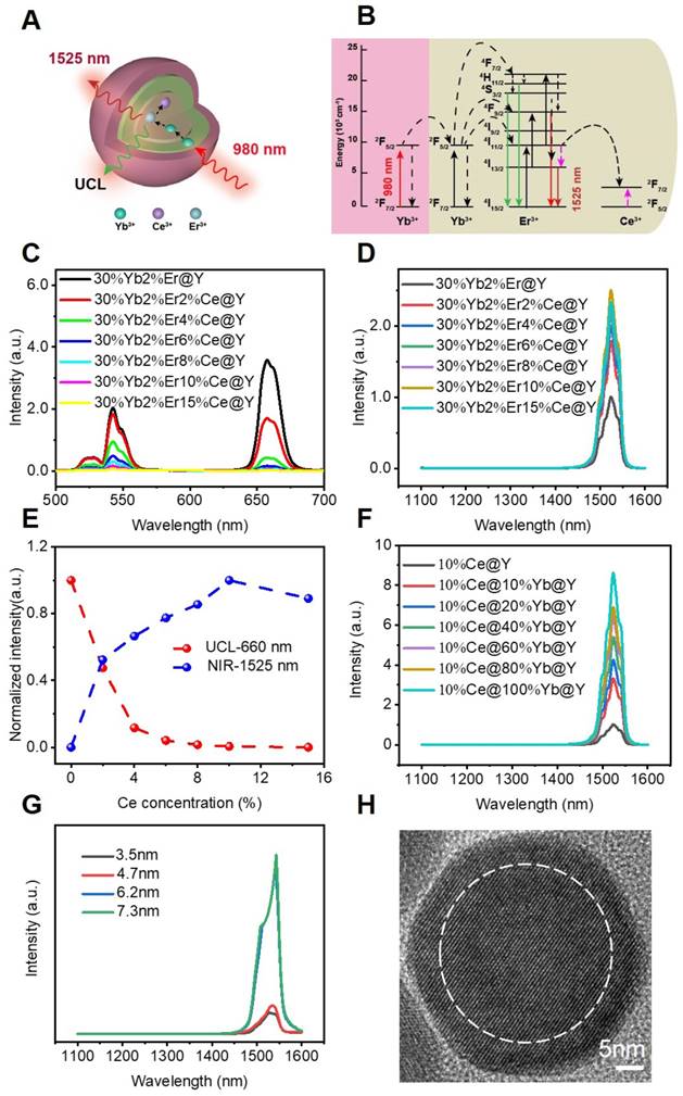 Theranostics Image