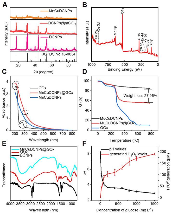 Theranostics Image