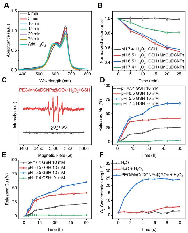 Theranostics Image