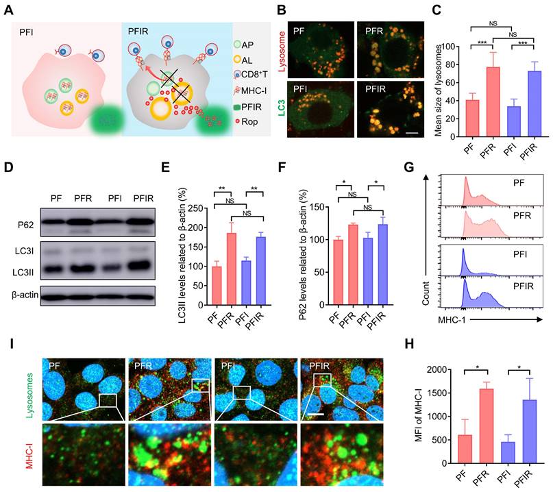 Theranostics Image