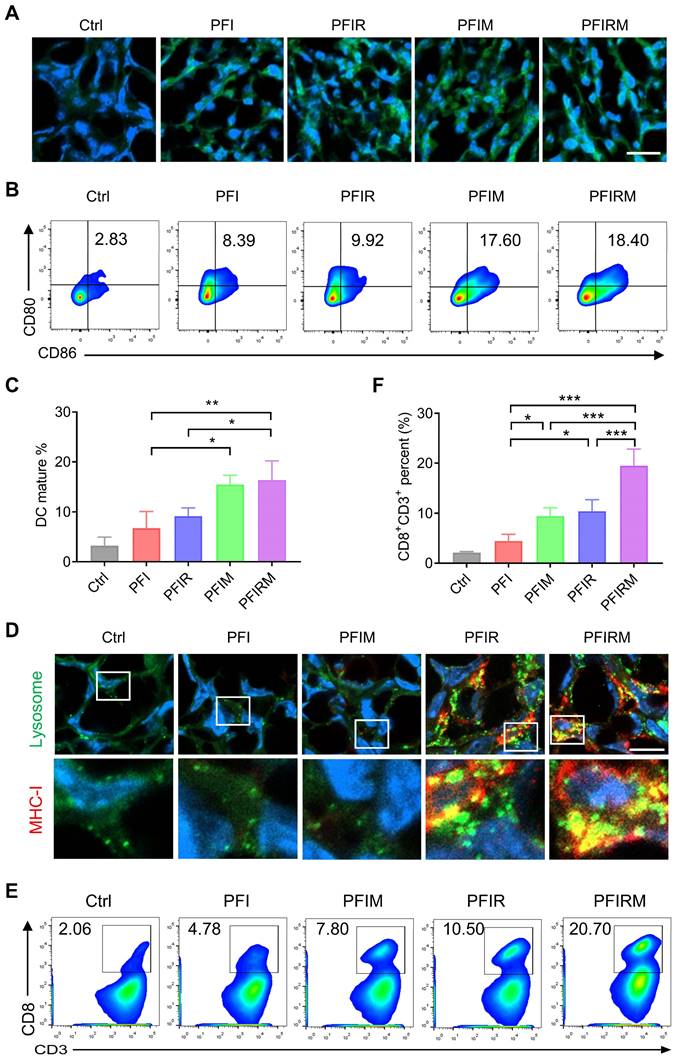 Theranostics Image