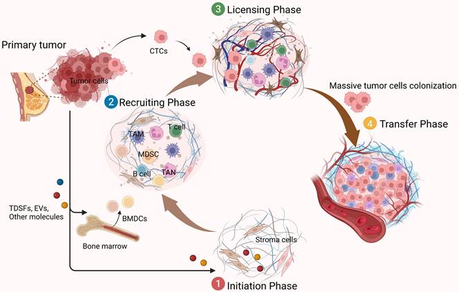 Theranostics Image