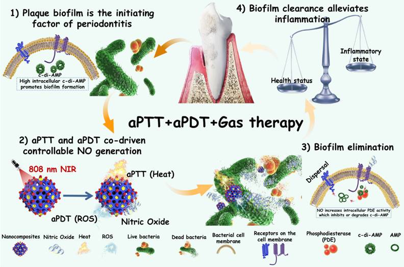 Theranostics Image