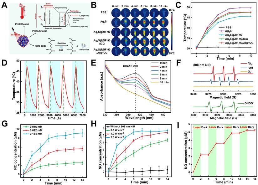 Theranostics Image