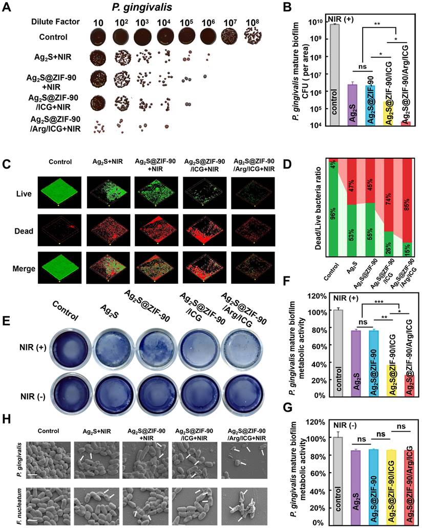 Theranostics Image