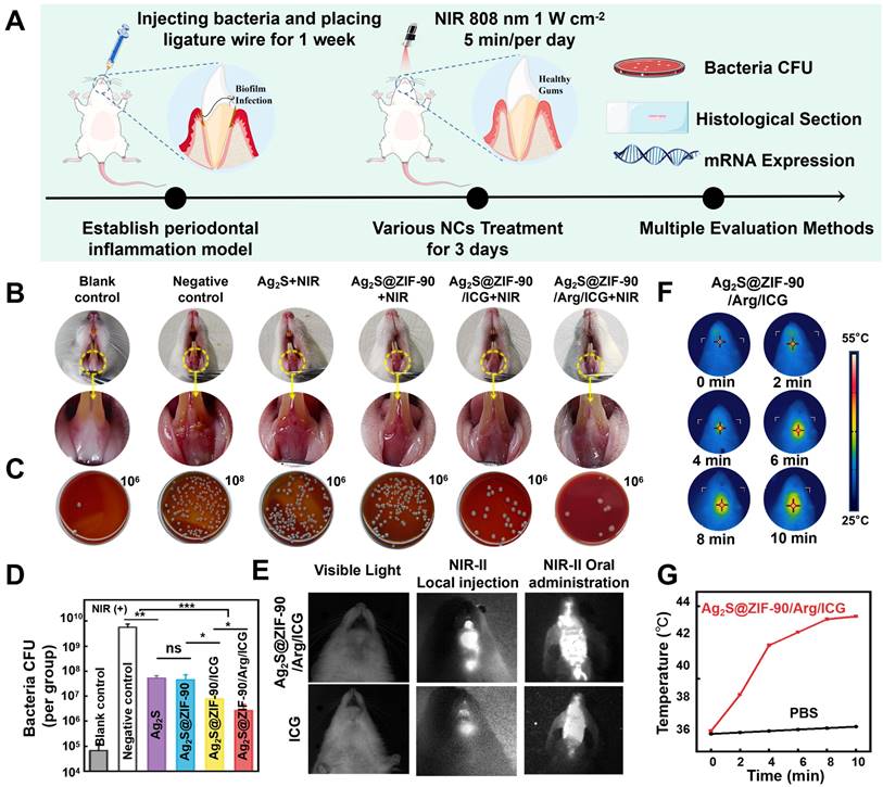 Theranostics Image