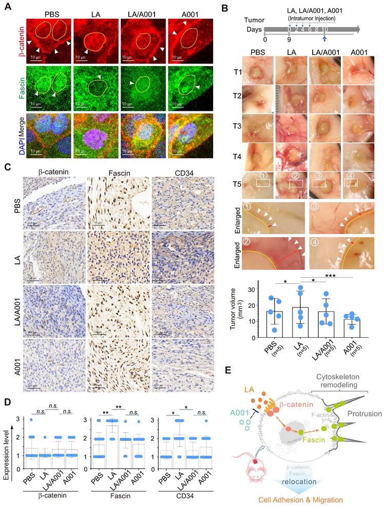 Theranostics Image