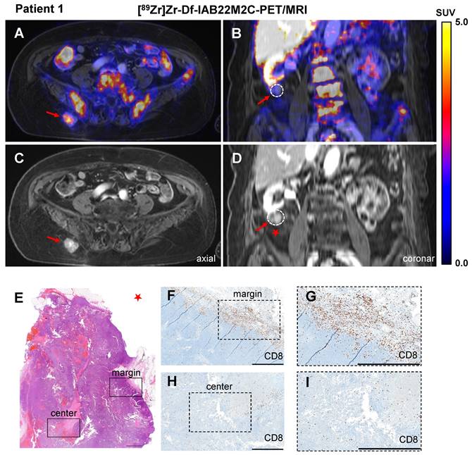 Theranostics Image