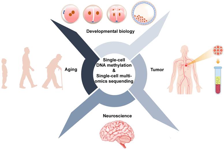 Theranostics Image