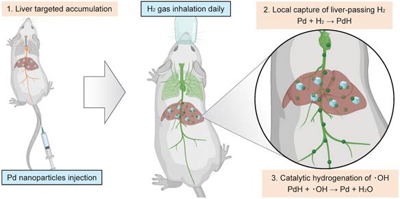 Theranostics Image