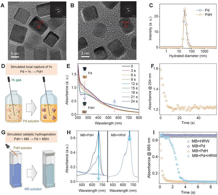 Theranostics Image