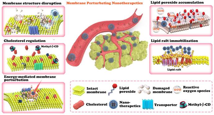 Theranostics Image