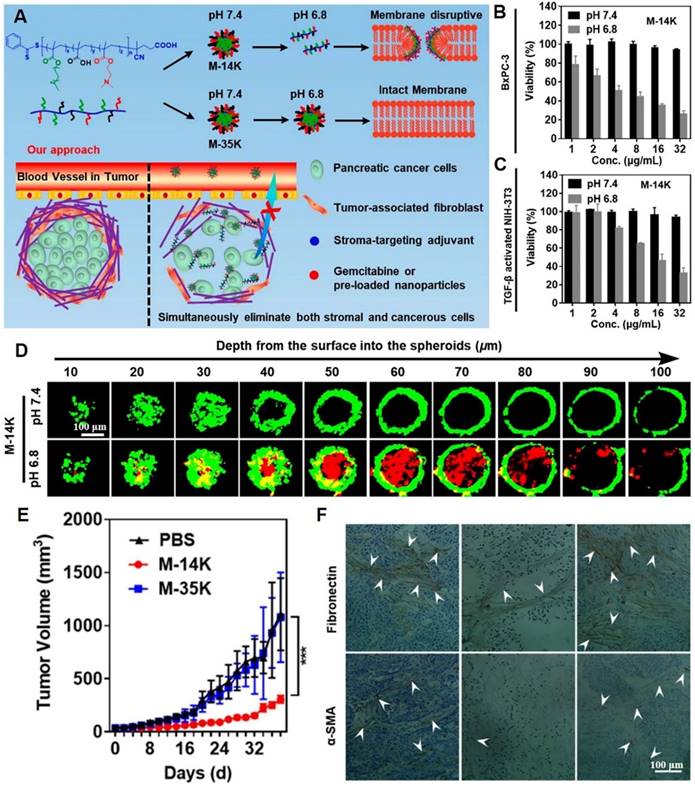 Theranostics Image