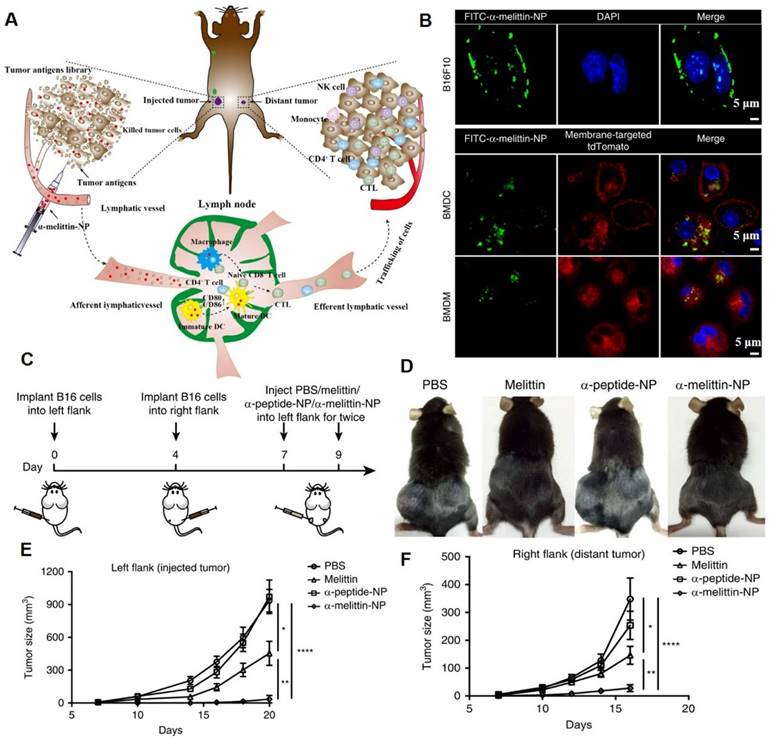 Theranostics Image