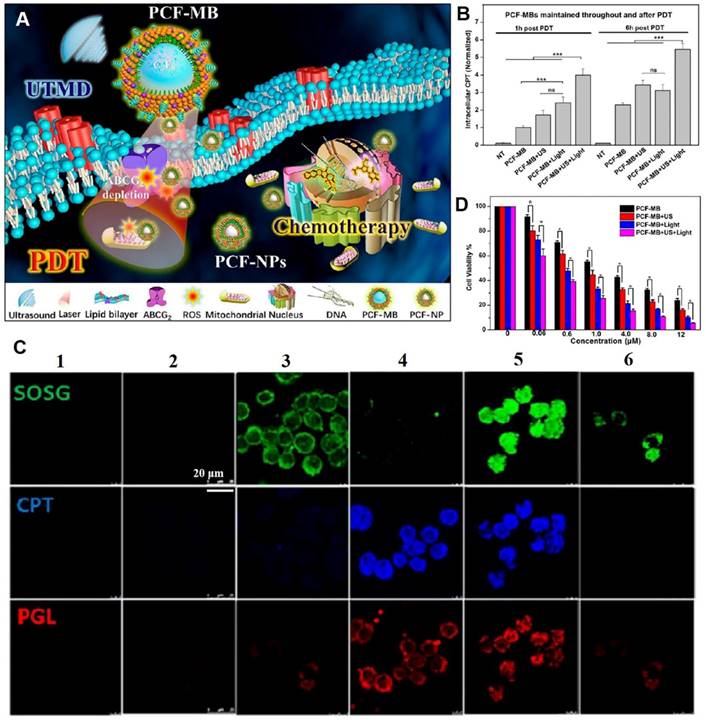 Theranostics Image