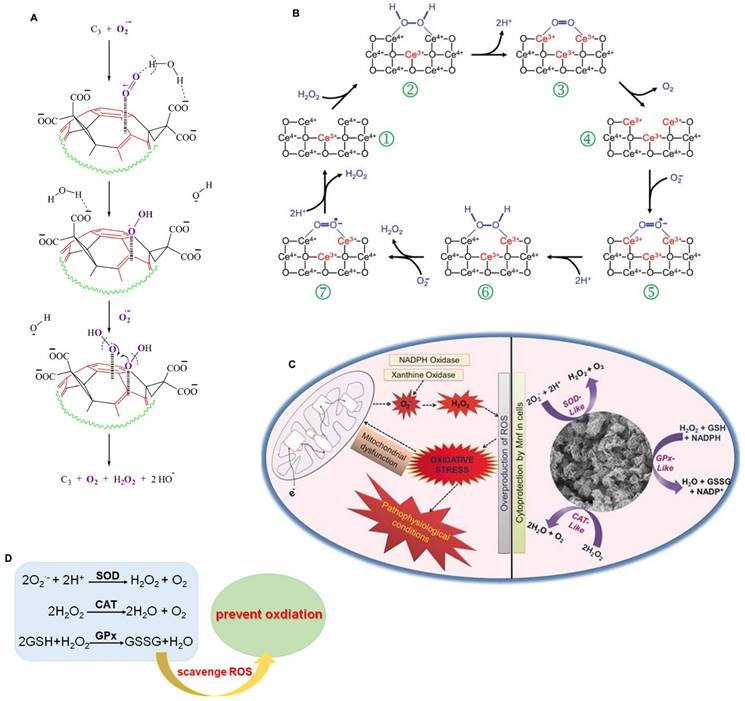 Theranostics Image