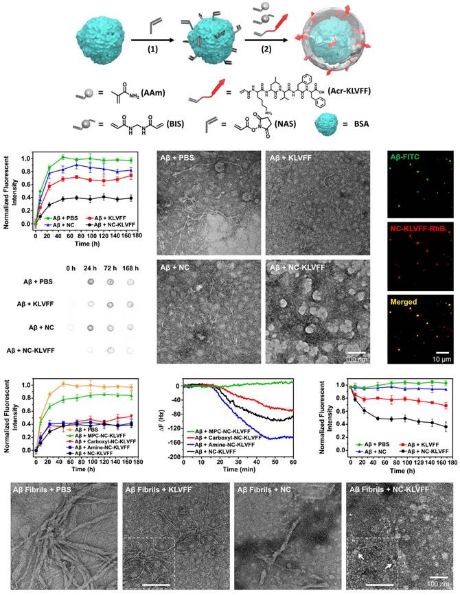 Theranostics Image