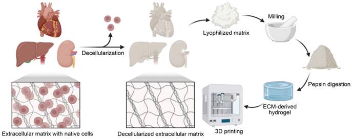 Theranostics Image