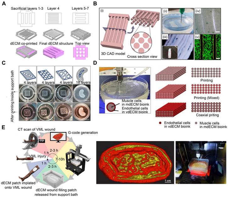 Theranostics Image