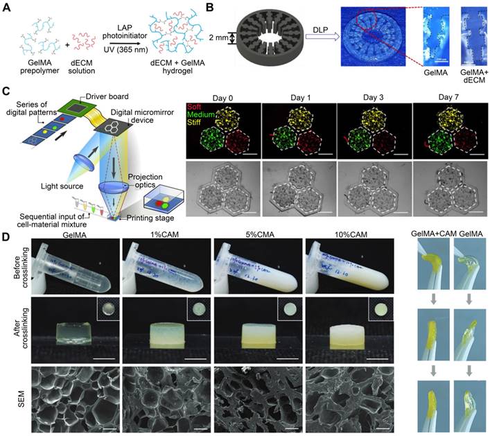 Theranostics Image