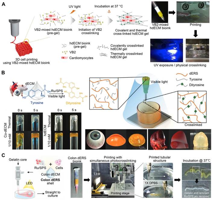 Theranostics Image