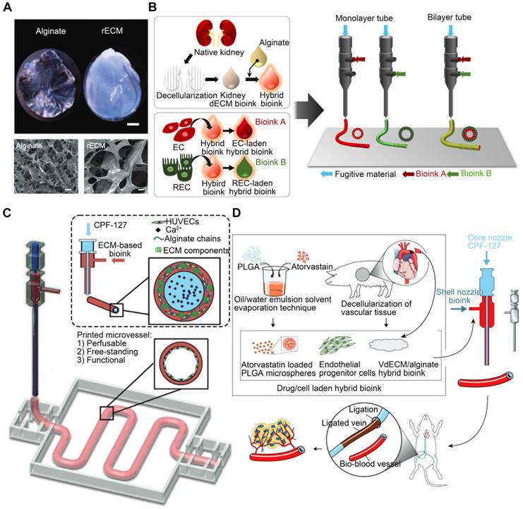 Theranostics Image