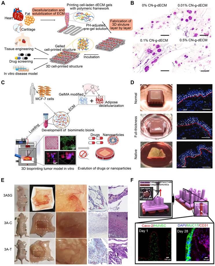 Theranostics Image