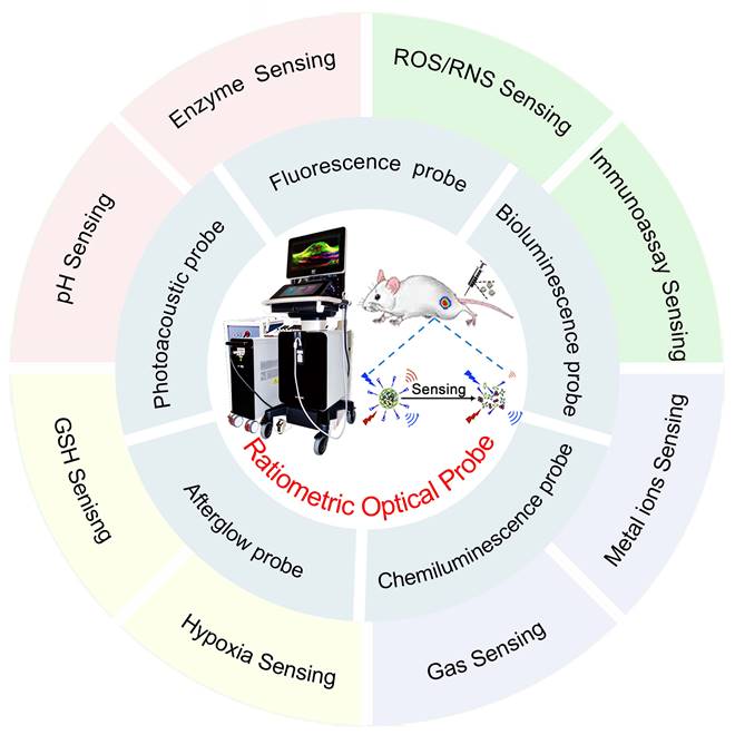 Theranostics Image