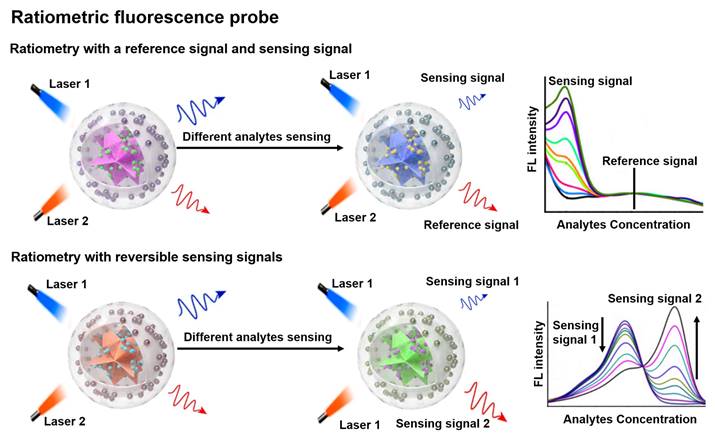 Theranostics Image