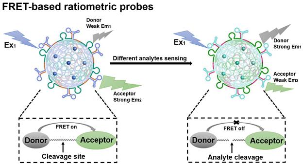 Theranostics Image