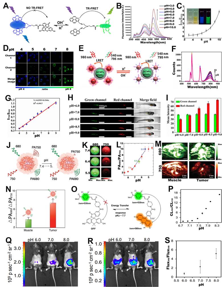 Theranostics Image