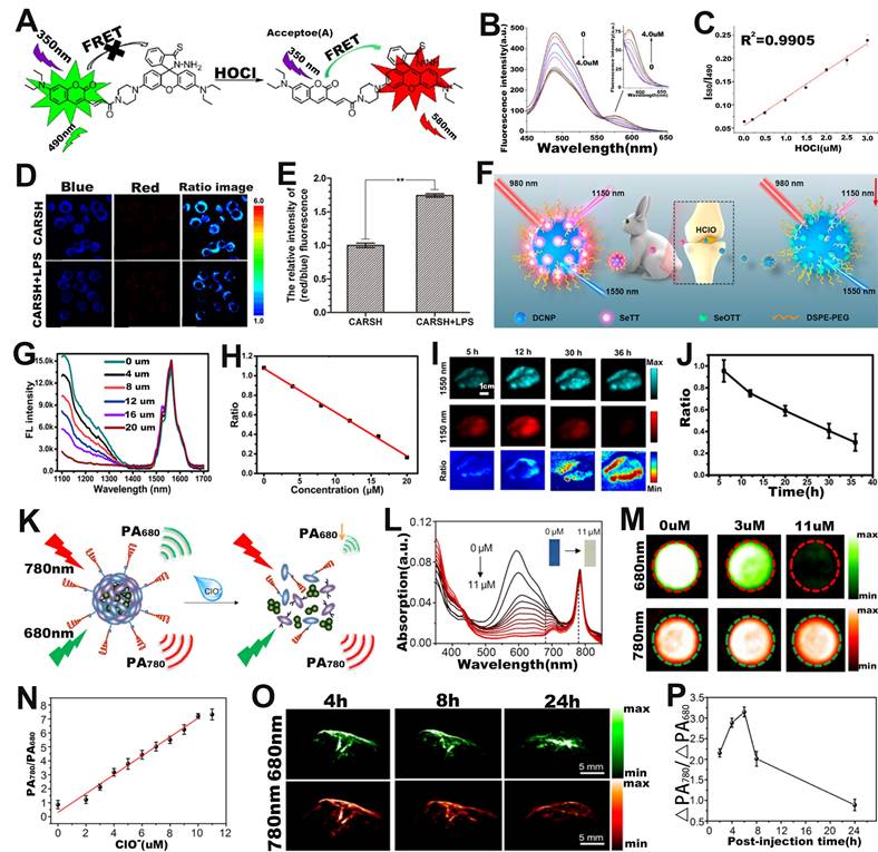 Theranostics Image