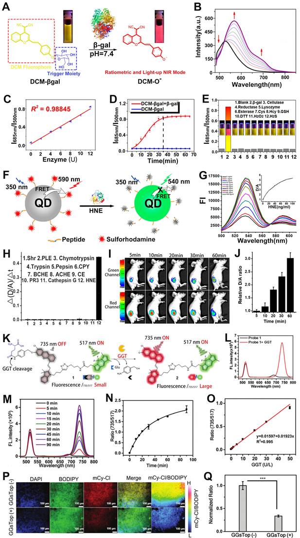 Theranostics Image