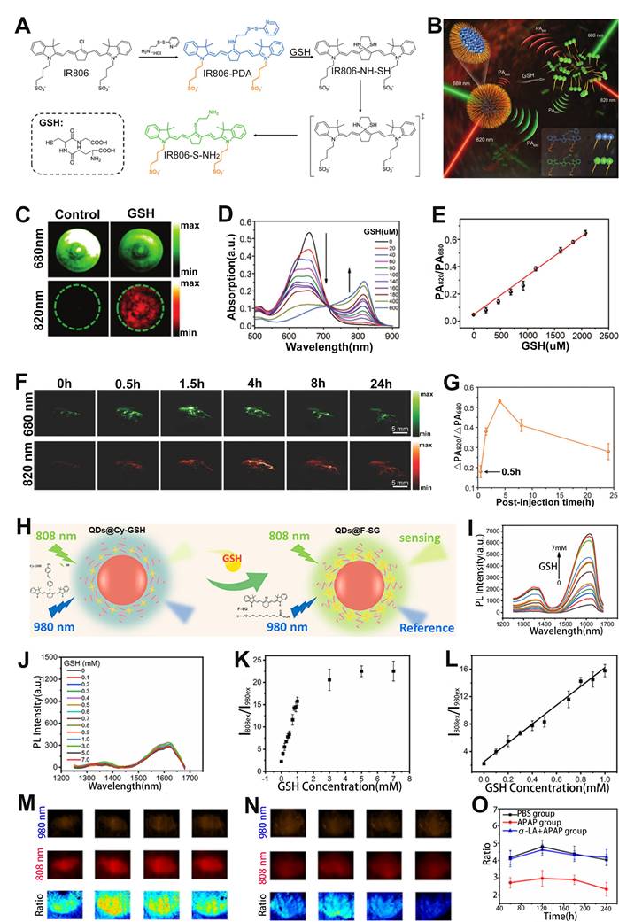 Theranostics Image