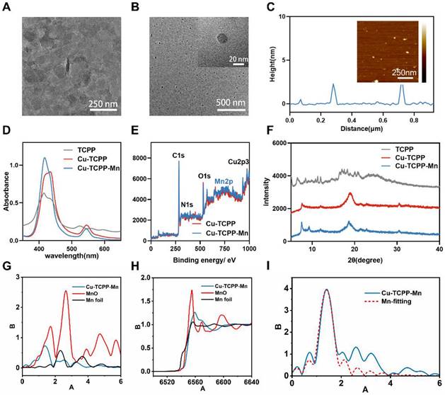 Theranostics Image