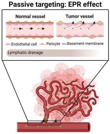 Theranostics Image